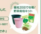 ノベルティ2025
